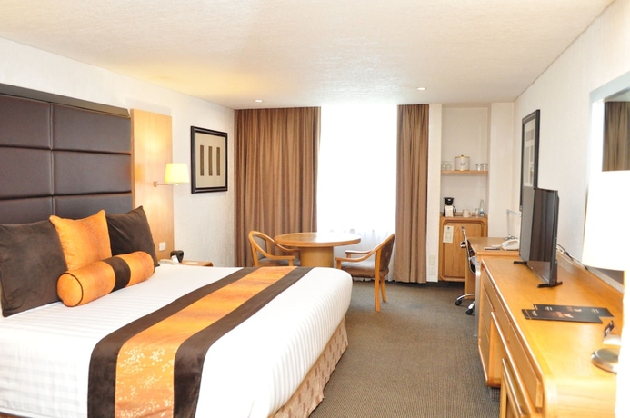 Imagen de la habitación del Hotel Royal Pedregal. Foto 4