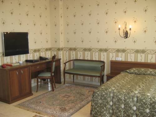 Imagen general del Hotel Royal Petrol. Foto 8