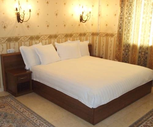 Imagen general del Hotel Royal Petrol. Foto 13