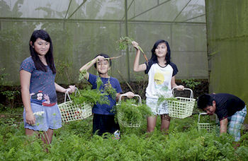 Imagen de la habitación del Hotel Royal Safari Garden Resort and Convention. Foto 13