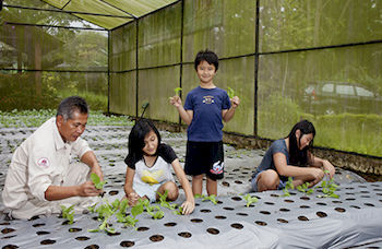 Imagen de los exteriores del Hotel Royal Safari Garden Resort and Convention. Foto 15