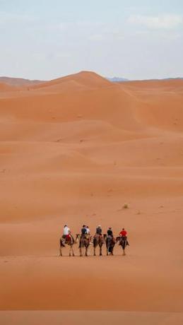 Imagen general del Hotel Royal Sands Camp. Foto 4