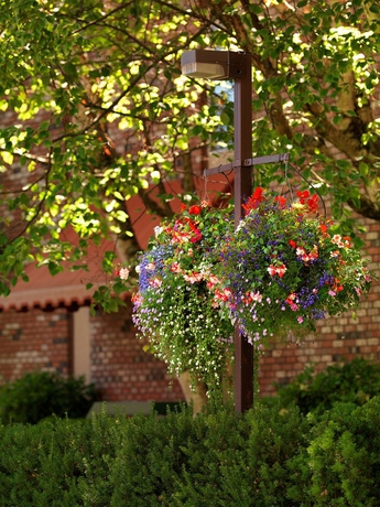 Imagen de los exteriores del Hotel Royal Scot and Suites. Foto 5