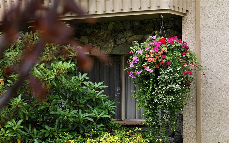 Imagen de los exteriores del Hotel Royal Scot and Suites. Foto 7