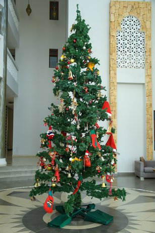 Imagen de los interiores del Hotel Royal Shaza Suites. Foto 19