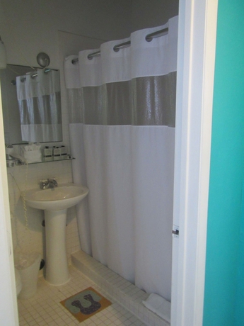 Imagen de la habitación del Hotel Royal South Beach. Foto 13