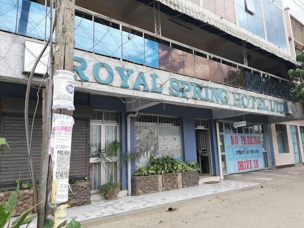 Imagen general del Hotel Royal Spring. Foto 4