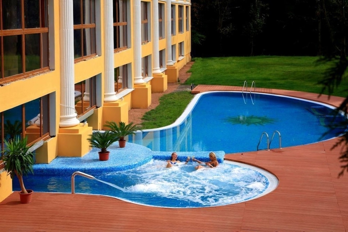 Imagen de la piscina del Hotel Royal Sun Geneva. Foto 18