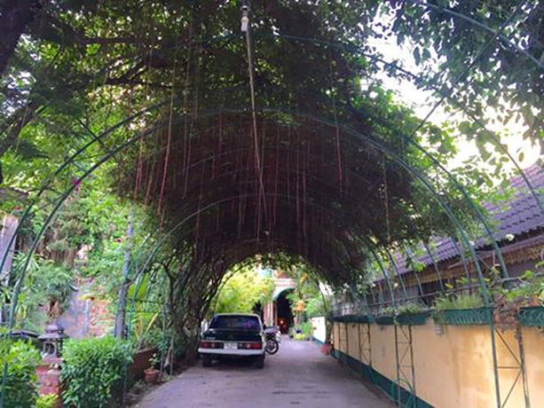 Imagen general del Hotel Royal Thapae Gate Guesthouse. Foto 7