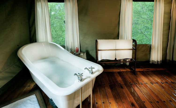 Imagen de la habitación del Hotel Royal Tree Lodge. Foto 15