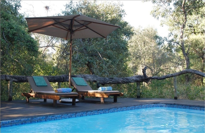 Imagen de la piscina del Hotel Royal Tree Lodge. Foto 18