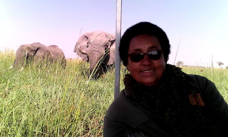 Imagen general del Hotel Royal Tree Lodge. Foto 3