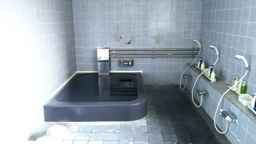 Imagen de la piscina del Hotel Royal Uohachi. Foto 18