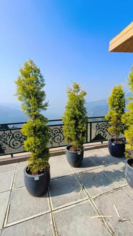Imagen general del Hotel Royalpine Rosastays Kasauli. Foto 13