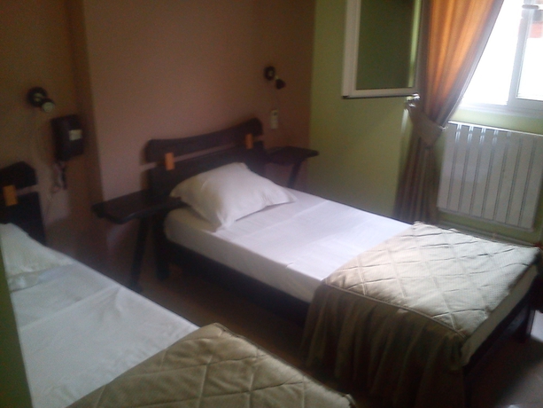 Imagen de la habitación del Hotel Roza. Foto 3