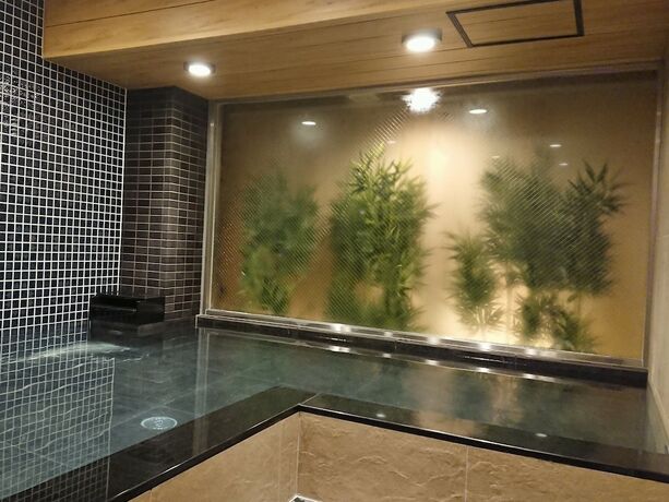 Imagen de la piscina del Hotel R's Forest Inn. Foto 23