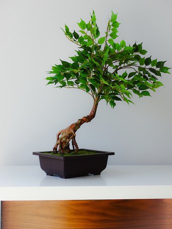 Imagen de los interiores del Hotel Rs porto Apartments. Foto 20