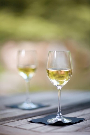 Imagen del bar/restaurante del Hotel Rt Lodge. Foto 6