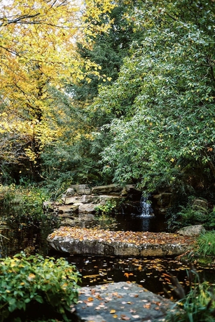 Imagen de los exteriores del Hotel Rt Lodge. Foto 16