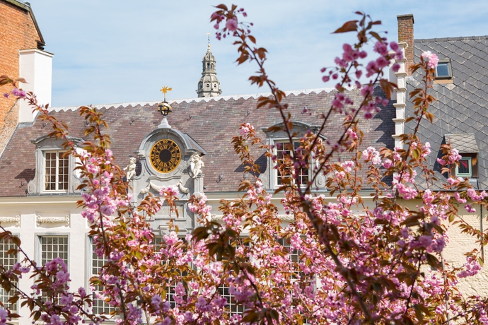 Imagen general del Hotel Rubens - Grote Markt. Foto 2