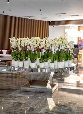 Imagen de los interiores del Hotel Rubi Platinum Sign. Foto 18
