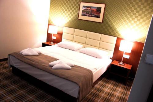 Imagen de la habitación del Hotel Rudnik, Grudziadz. Foto 8