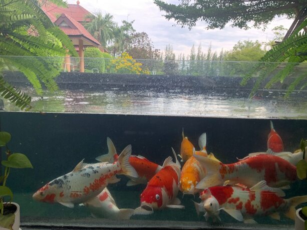 Imagen general del Hotel Ruen Sam Ran Resort. Foto 21