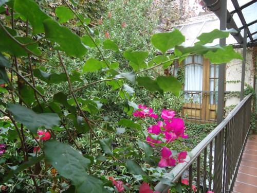 Imagen general del Hotel Rugantino Hotel Boutique. Foto 3