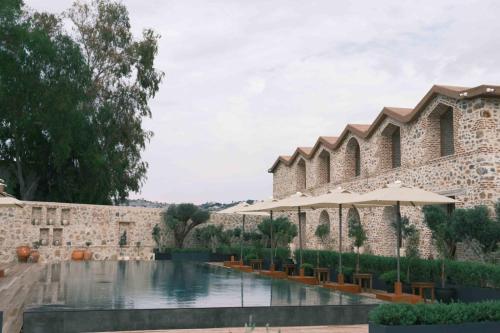 Imagen general del Hotel Ruins. Foto 3