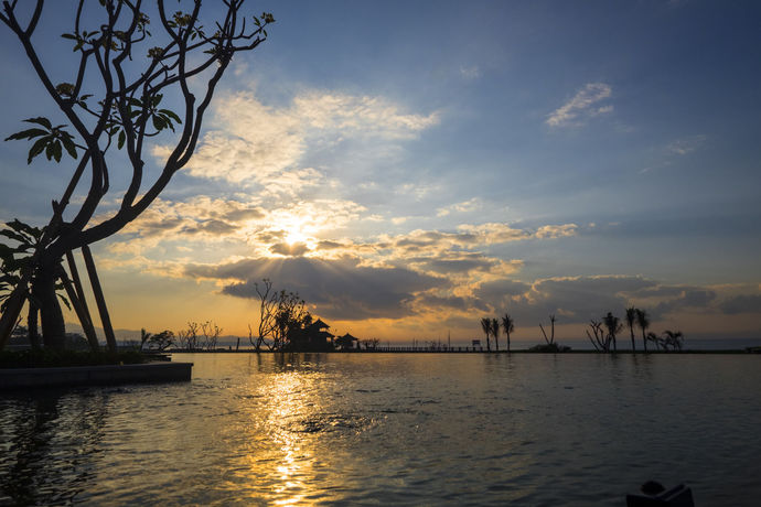 Imagen de la piscina del Hotel Rumah Luwih Bali. Foto 15