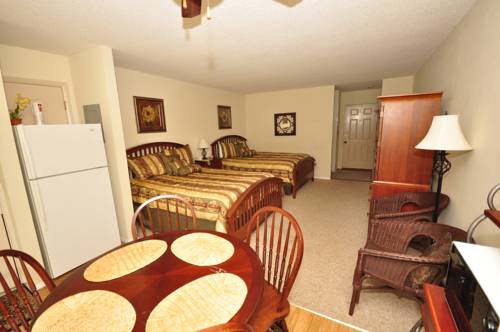 Imagen de la habitación del Hotel Rumbling Bald Resort. Foto 3