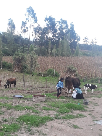 Imagen general del Hotel Runa Tupari Homestay Lodge. Foto 8