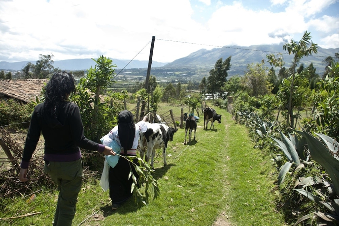 Imagen general del Hotel Runa Tupari Homestay Lodge. Foto 9