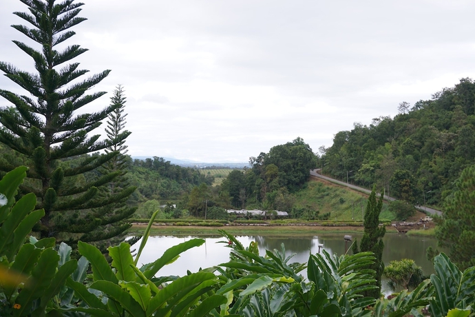 Imagen de los exteriores del Hotel Rungyen Resort. Foto 15