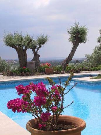 Imagen de la piscina del Hotel Rural Agritourismo Alquería Blanca. Foto 14