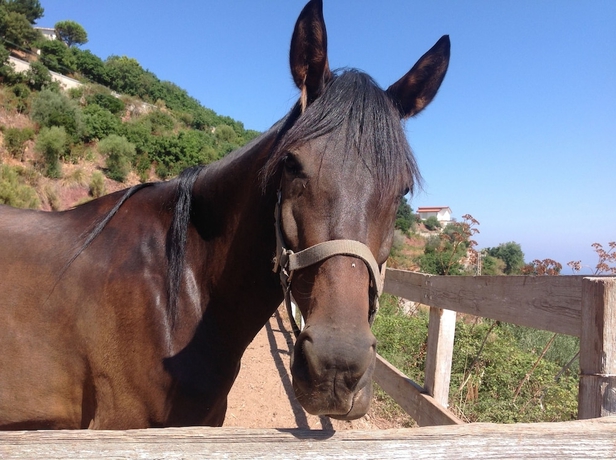 Imagen general del Hotel Rural Agriturismo Santa Margherita. Foto 2