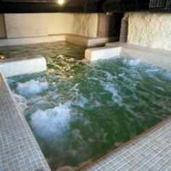 Imagen general del Hotel Rural Balneario Aguas de Carabañas. Foto 4