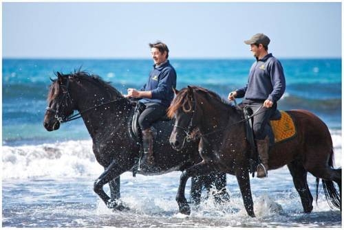 Imagen de los exteriores del Hotel Rural Binigaus Vell. Foto 10