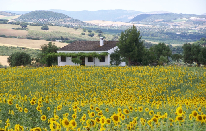Imagen de la habitación del Hotel Rural CORTIJO BARRANCO. Foto 5