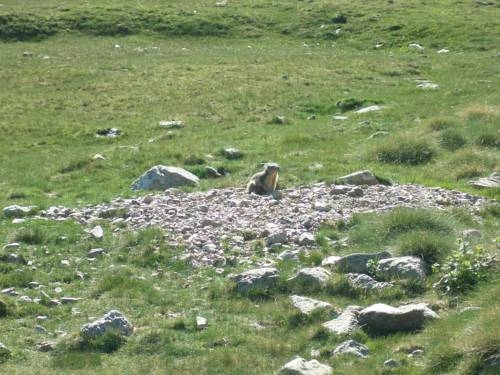 Imagen de la habitación del Hotel Rural Cal Bou Rural Resort. Foto 22