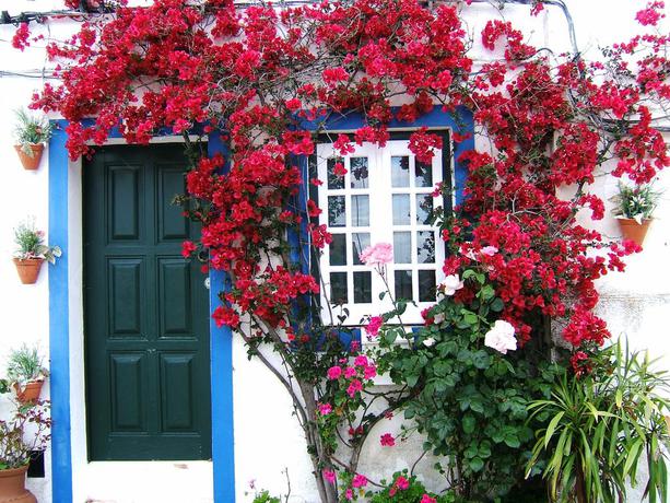 Imagen general del Hotel Rural Casa Da Planicie. Foto 8