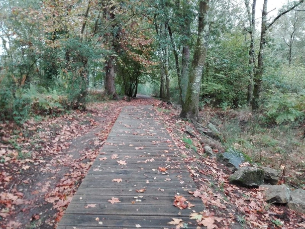 Imagen general del Hotel Rural Casa Das Pias. Foto 2