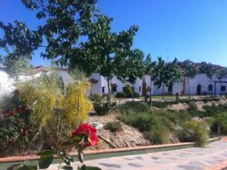 Imagen general del Hotel Rural Cuevas Hammam Abuelo Jose. Foto 15