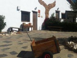 Imagen general del Hotel Rural Cuevas Hammam Abuelo Jose. Foto 19