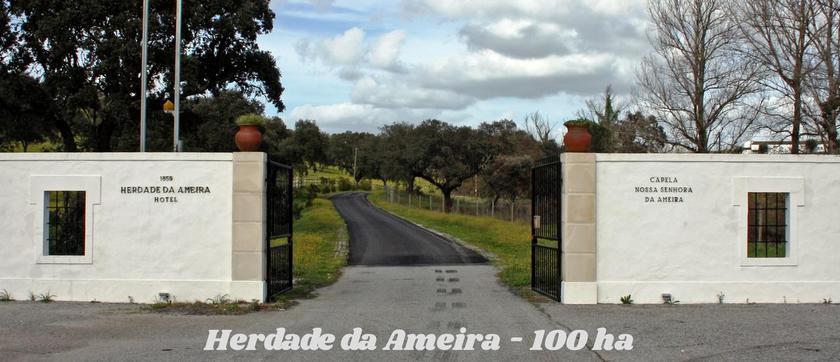 Imagen general del Hotel Rural Da Ameira. Foto 8