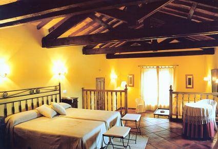 Imagen general del Hotel Rural El Castrejon. Foto 10