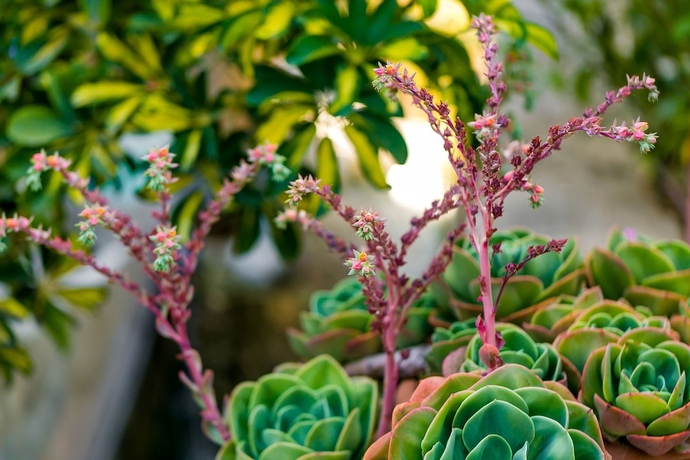 Imagen de los interiores del Hotel Rural El Molino De Felipe. Foto 19