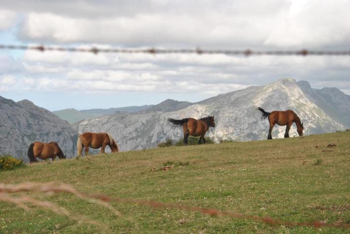 Imagen general del Hotel Rural El Molino de Cicera. Foto 3