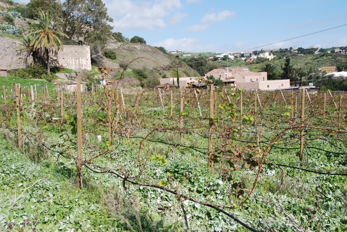 Imagen de los exteriores del Hotel Rural El Mondalón. Foto 11