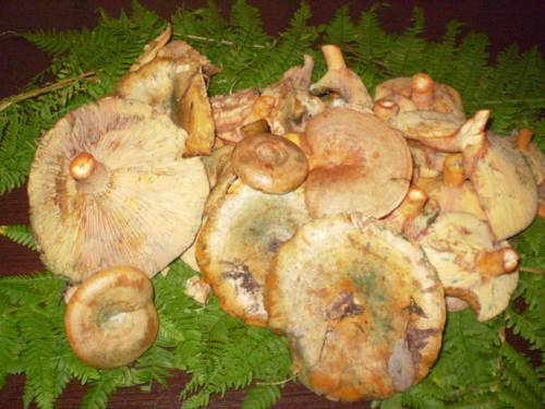 Imagen general del Hotel Rural Eras Del Poeta. Foto 7